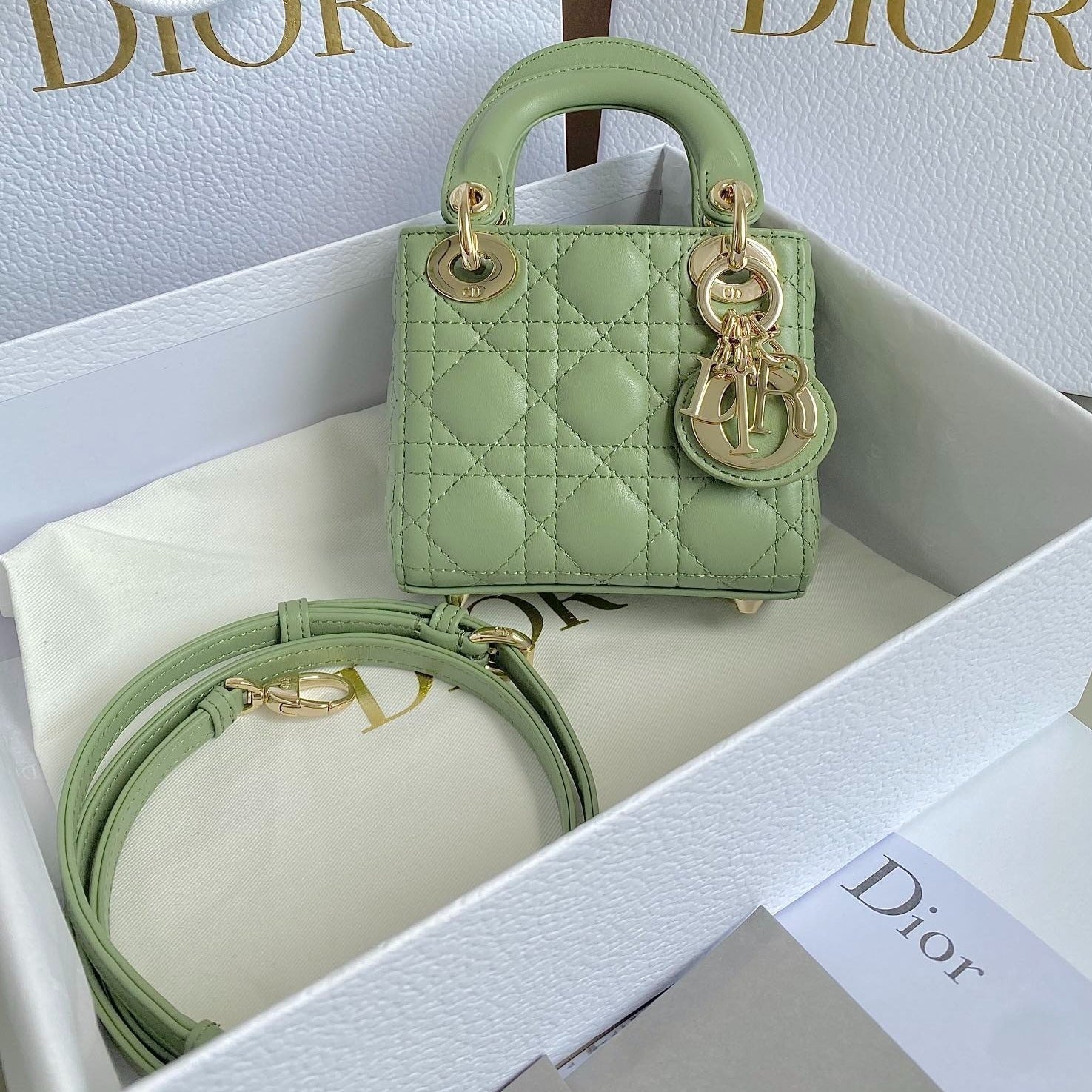 SAC MICRO LADY 12 EN CUIR D'AGNEAU VERT CLAIR