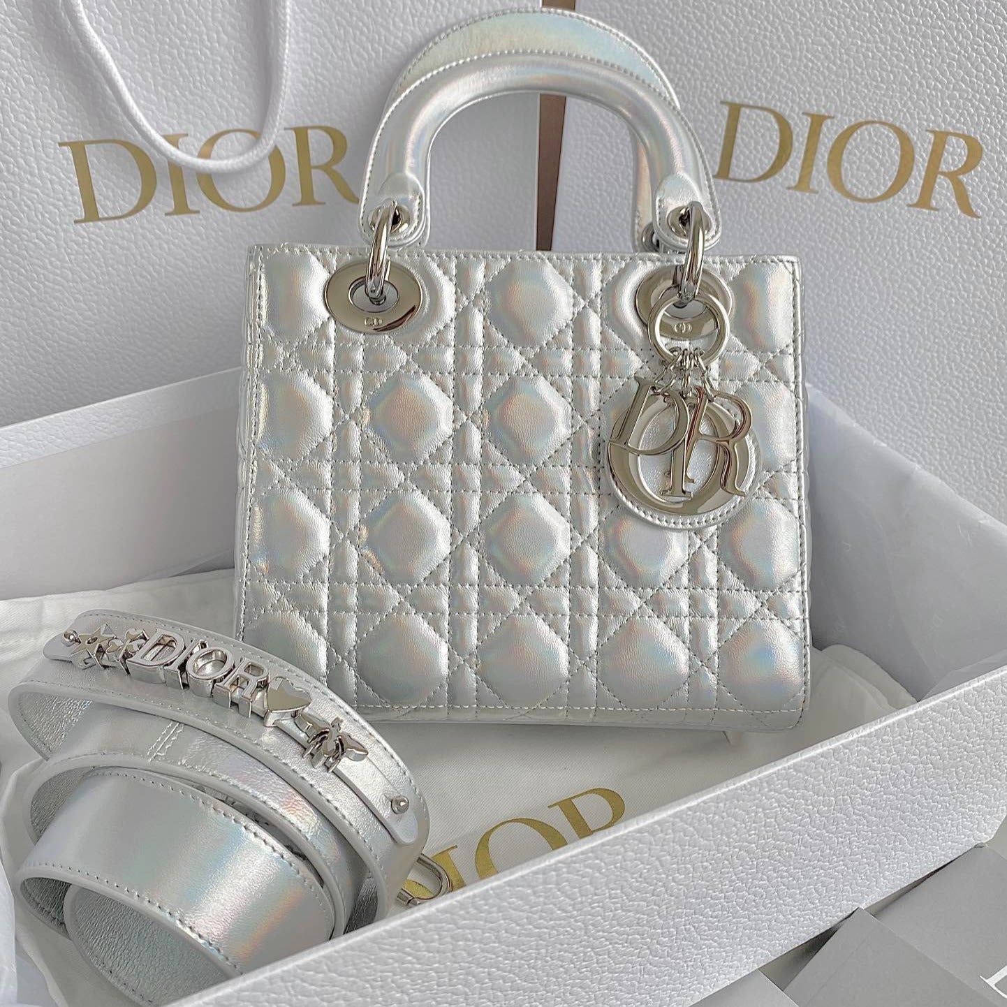 SAC À MAIN MEDIUM LADY 20 EN CUIR D'AGNEAU ARGENTÉ